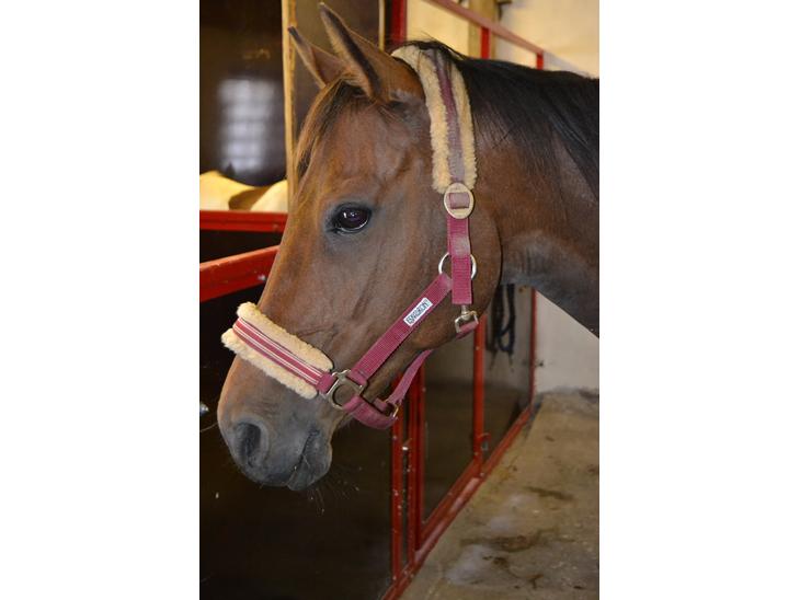 {{currentPhoto.altText}} billede {{currentPhoto.number}}