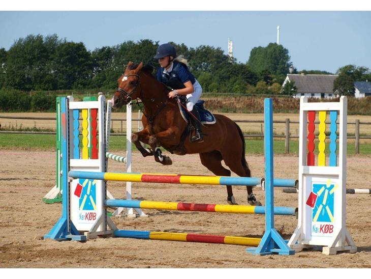 {{currentPhoto.altText}} billede {{currentPhoto.number}}