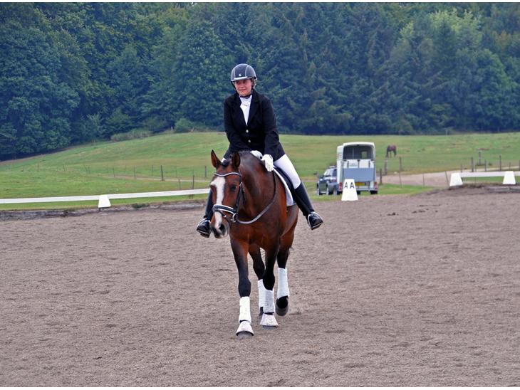 {{currentPhoto.altText}} billede {{currentPhoto.number}}