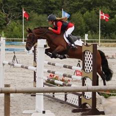 Connemara Ballycullen Lass (Bally)