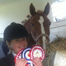 New Forest Pegasus af Bråskovgård<3