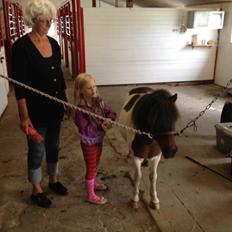 Anden særlig race Manse