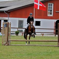 DSP Passion * Palle*