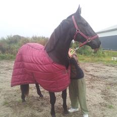 Oldenborg Lille bror ( Diablo)