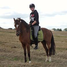 DSP •º°°•Misty•°°º•  ~My soulmate~ <3