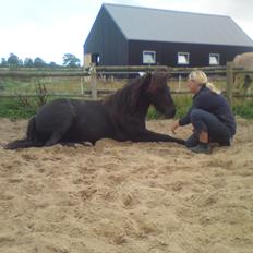 Anden særlig race frida