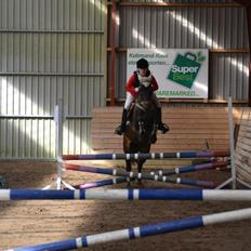 Anden særlig race Lundgaards Mulan SOLGT