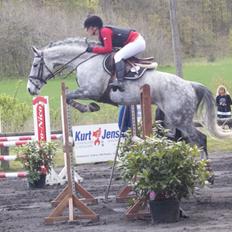 Anden særlig race Ju-Ju Gravies (solgt)