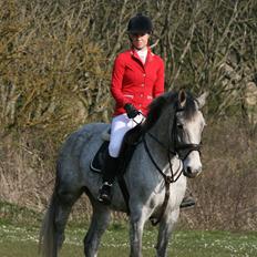 Anden særlig race Ju-Ju Gravies (solgt)