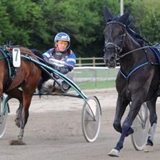 Traver Arcana Cabana (Hanky Panky I Am)