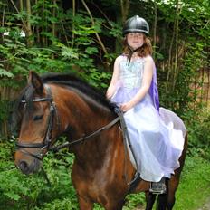 Anden særlig race Solgt koh-I-Noor 