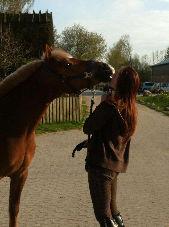 Anden særlig race Isabell (DEN BEDSTE) Solgt - kom snart igen MØØS <3 billede 20