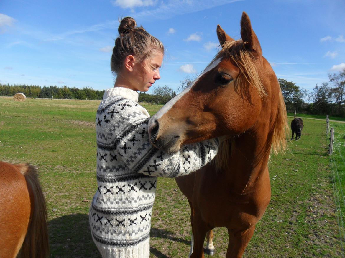 Anden særlig race Liva Bella billede 19