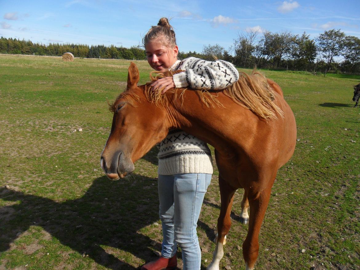 Anden særlig race Liva Bella - Min aller bedste ven billede 20