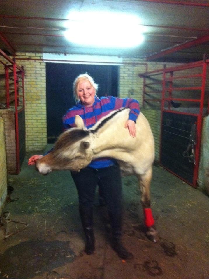 Fjordhest Sille'piien :D <33 solgt  billede 19