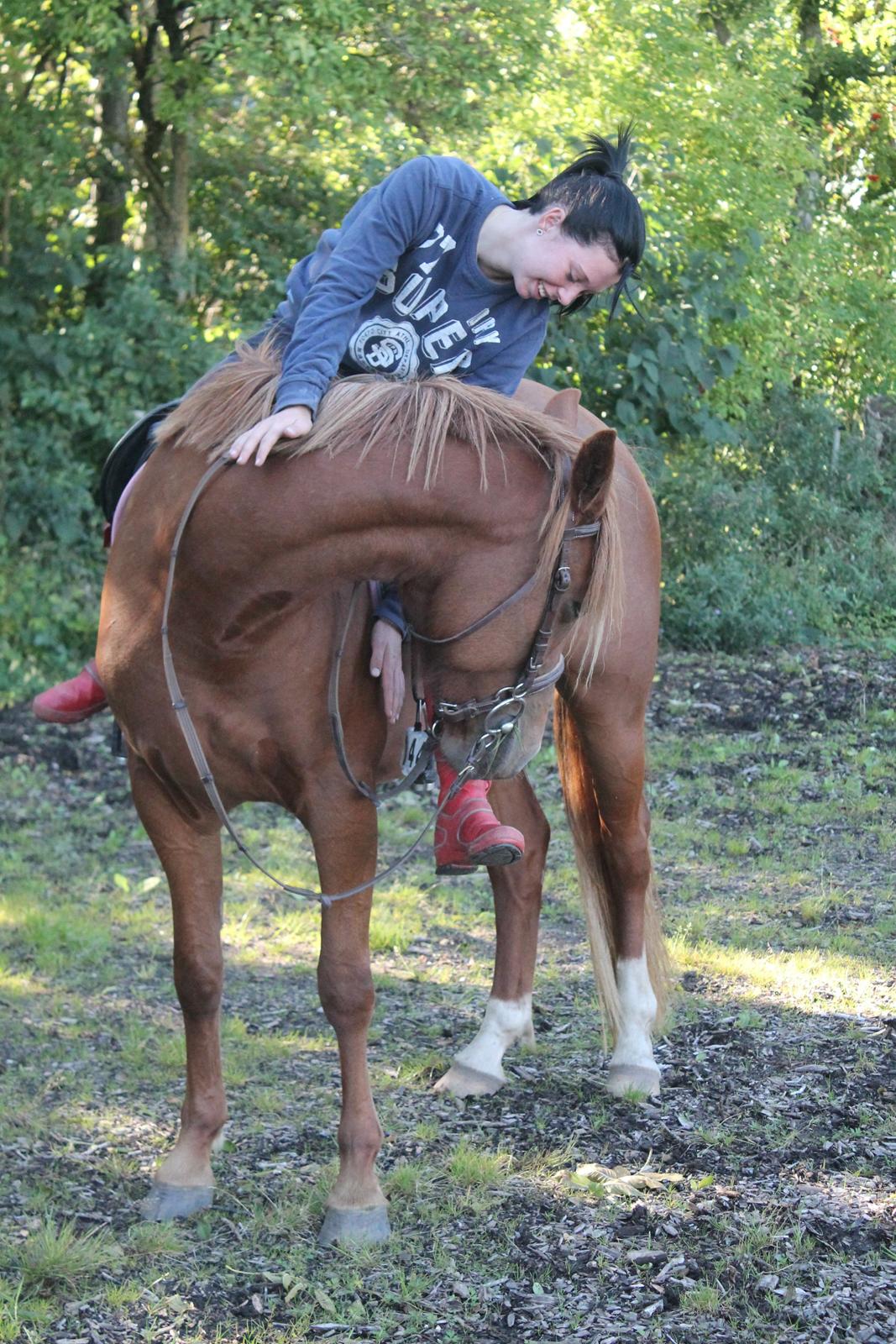 Anden særlig race Eligance billede 14