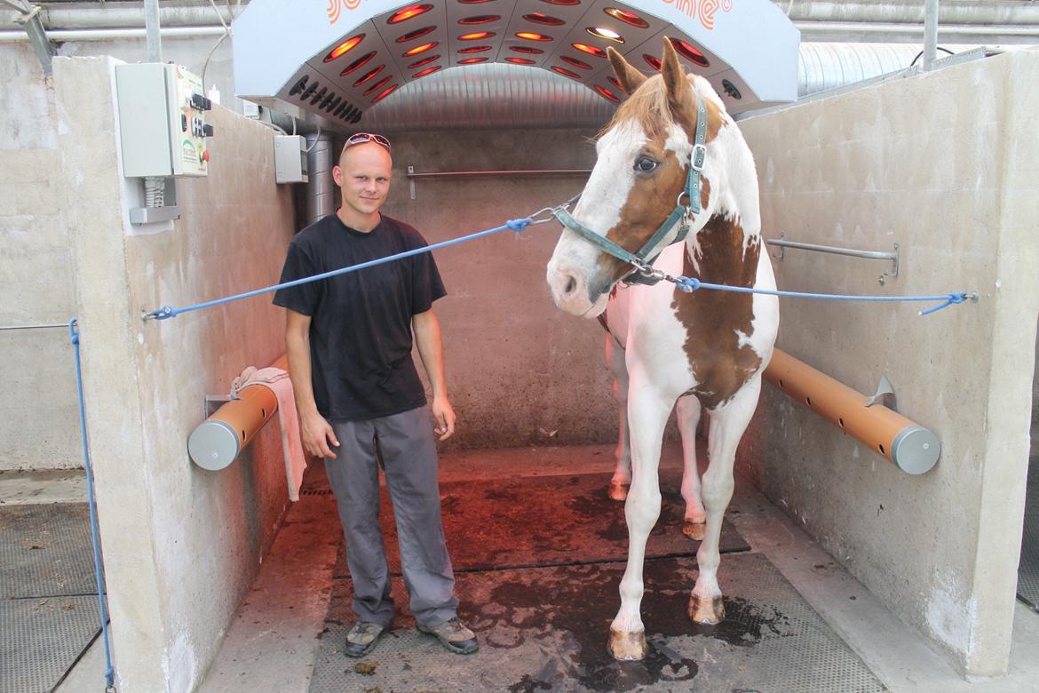 Pinto Nikolaj af Dutterup - De to enester drenge i mit liv,.. ! <3 billede 8