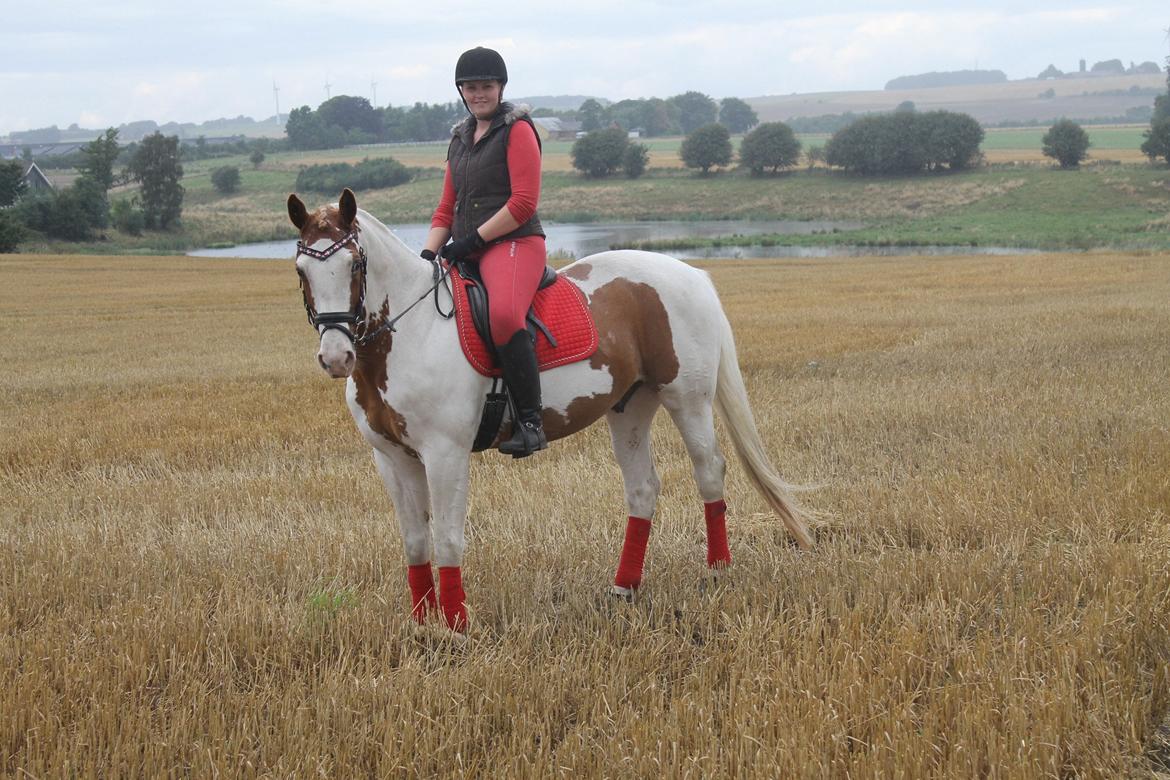 Pinto Nikolaj af Dutterup - Drenge er også lækre i rød.. ! <3 billede 9