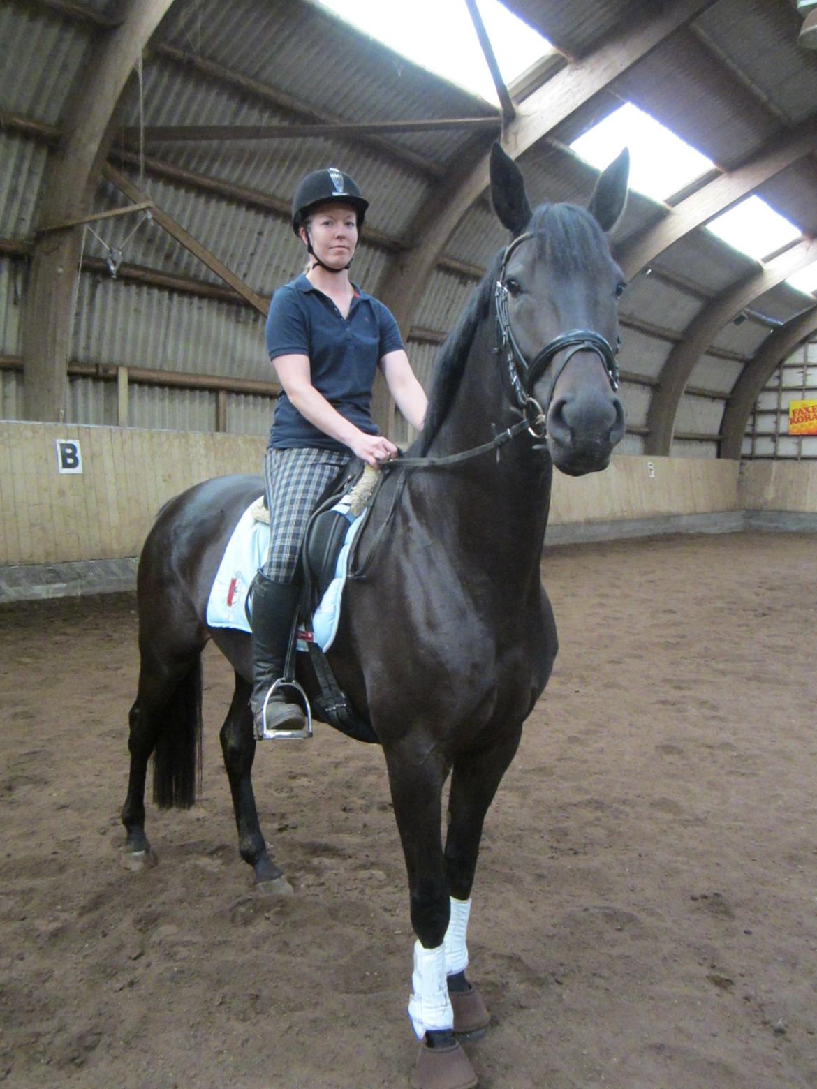 Dansk Varmblod Feodora Khan billede 14