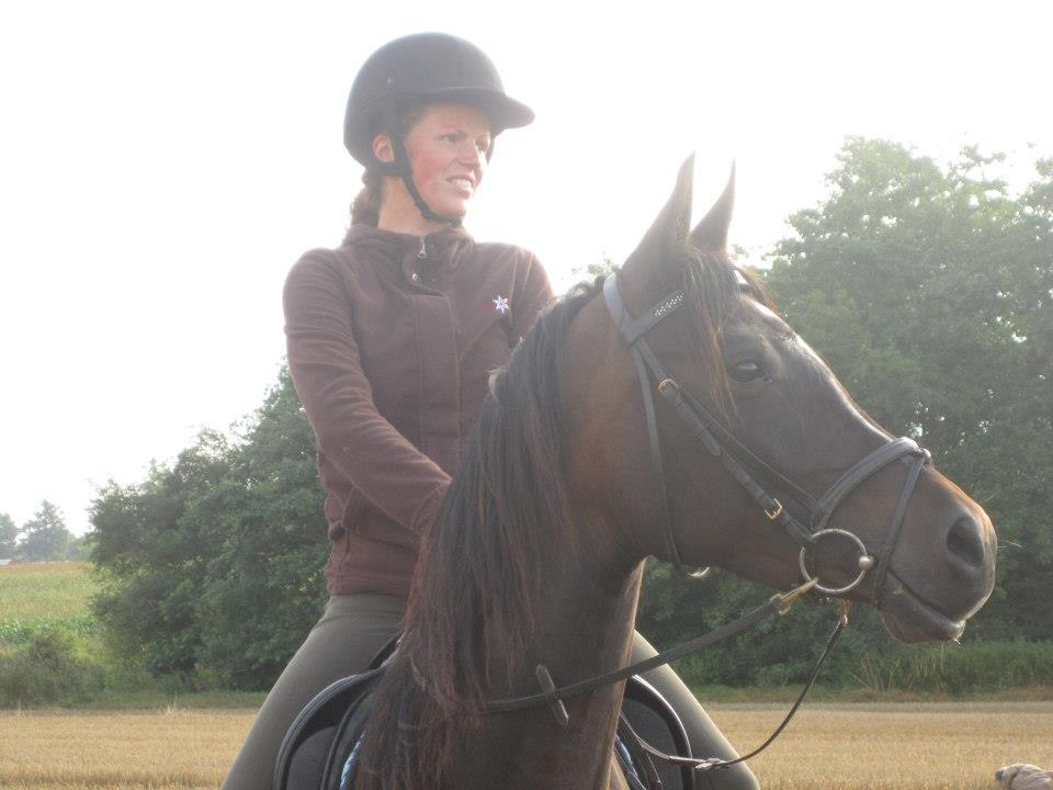 Arabisk fuldblod (OX) Fanzana (Iris) billede 8