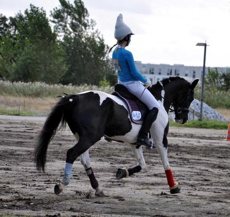 Pinto Lyngholms Maddie<3 B-pony - Smølferne i Gigantium!
d. 08-09-12 billede 7