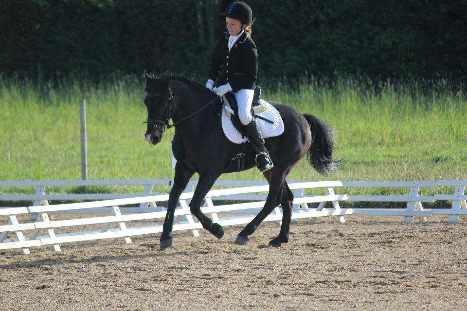 Anden særlig race Calypso - Min første LC1 i Rind Rideklub. <3  billede 18