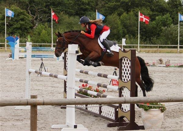 Connemara Ballycullen Lass (Bally) - julie og bally (: billede 3