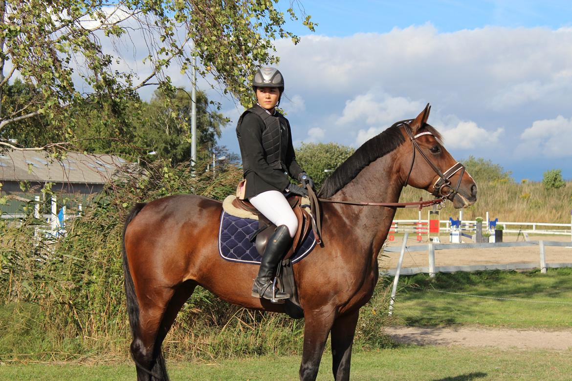 Holstener Camilla (Smilla) billede 16