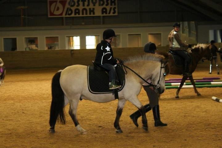 Anden særlig race Tarsan - Tarsan giver en lille tur :-D billede 17