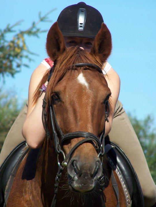 Anden særlig race Grønvangs Quinzy [R.I.P] billede 19