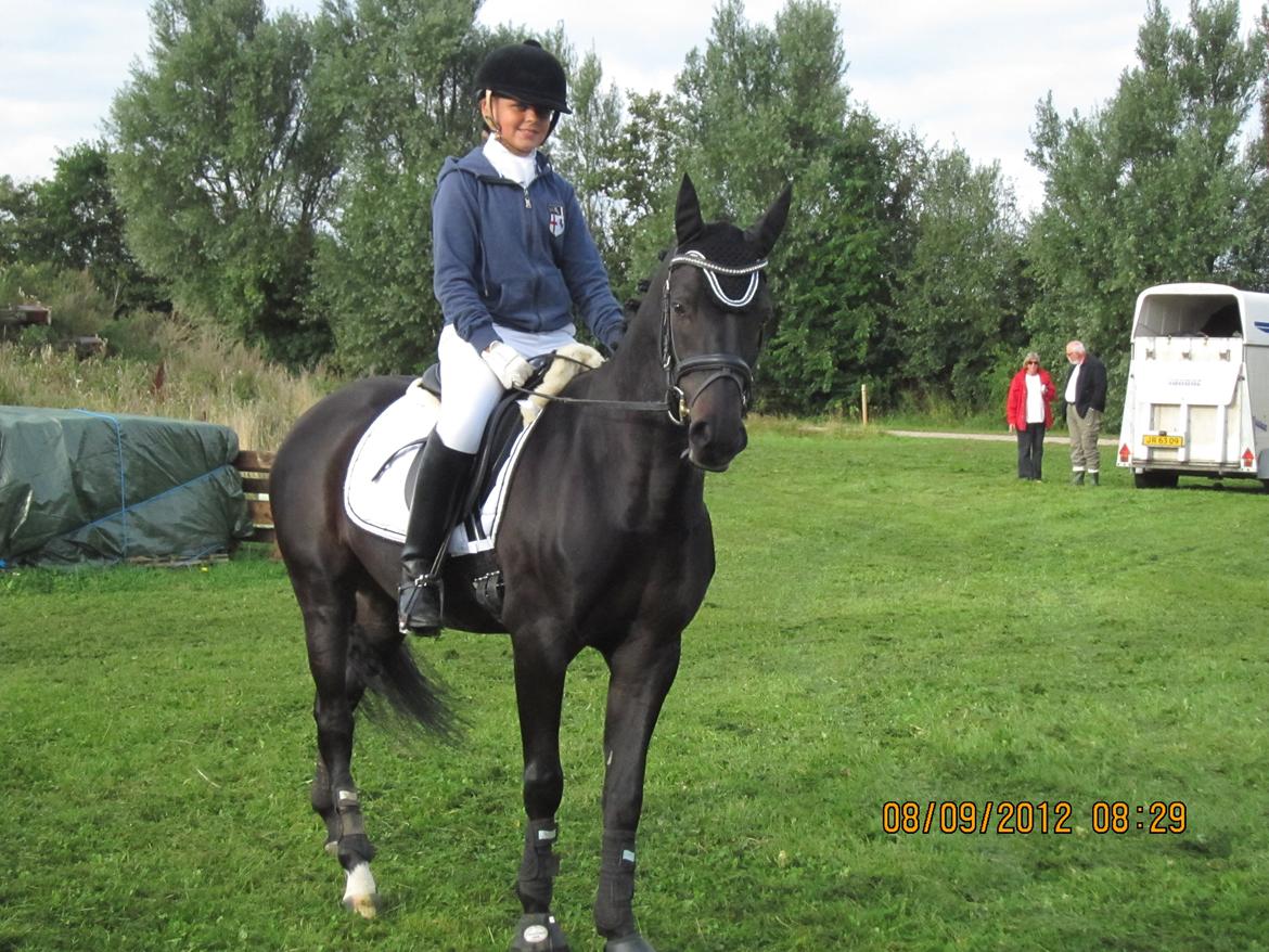 Tysk Sportspony Traeumer A-pony - Distrikt stævne i Guldager sports rideklub, skal ride en LA1. D. 8-9-12. billede 8