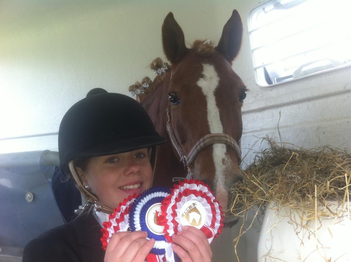 New Forest Pegasus af Bråskovgård<3 - Årh, dressur og springstævne i Fladså. :-) to idressur og 1 i spring! Elsker diig så høt min lille ynglings prinsesse!<333333 billede 3