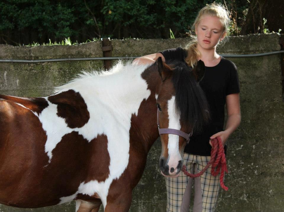 Anden særlig race Miss Charming billede 17