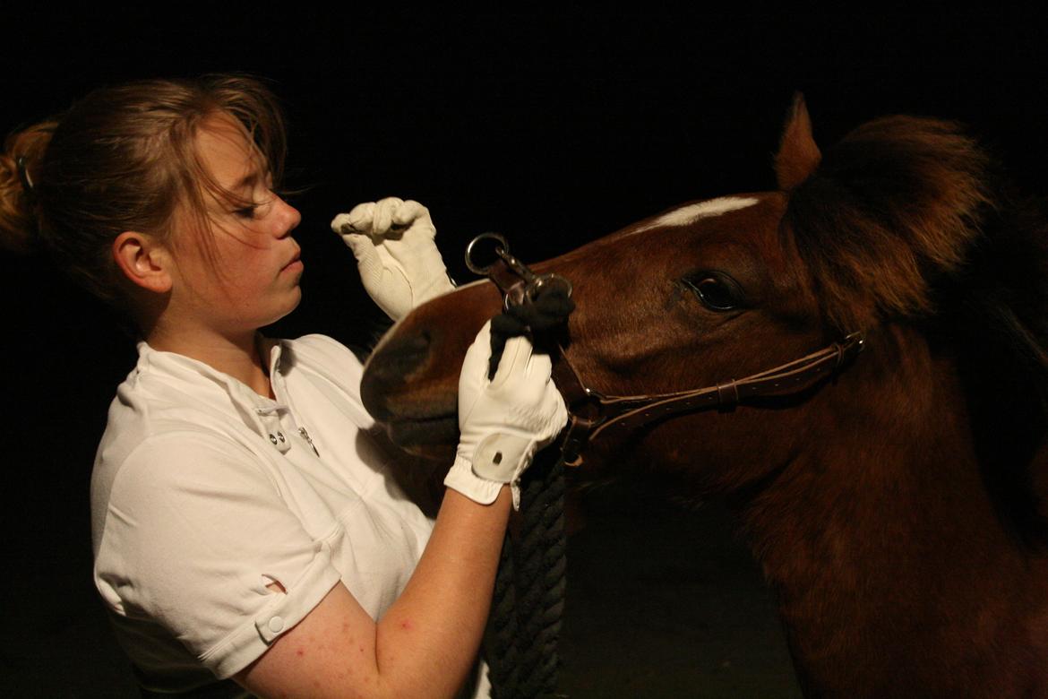 Anden særlig race Mosegaardens Surprice "lille mand" - 11 mdr. gammel Dejlige mig :D   billede 18