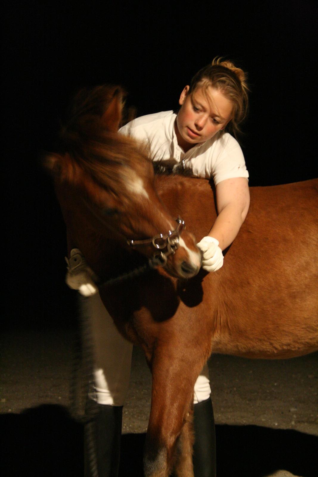 Anden særlig race Mosegaardens Surprice "lille mand" - Forside billede :)  billede 1