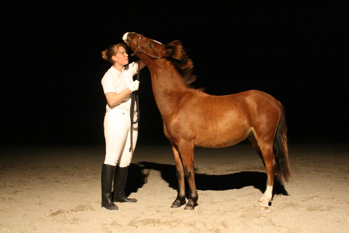 Anden særlig race Mosegaardens Surprice "lille mand" - 11 mdr. så stor jeg er  <3 billede 19