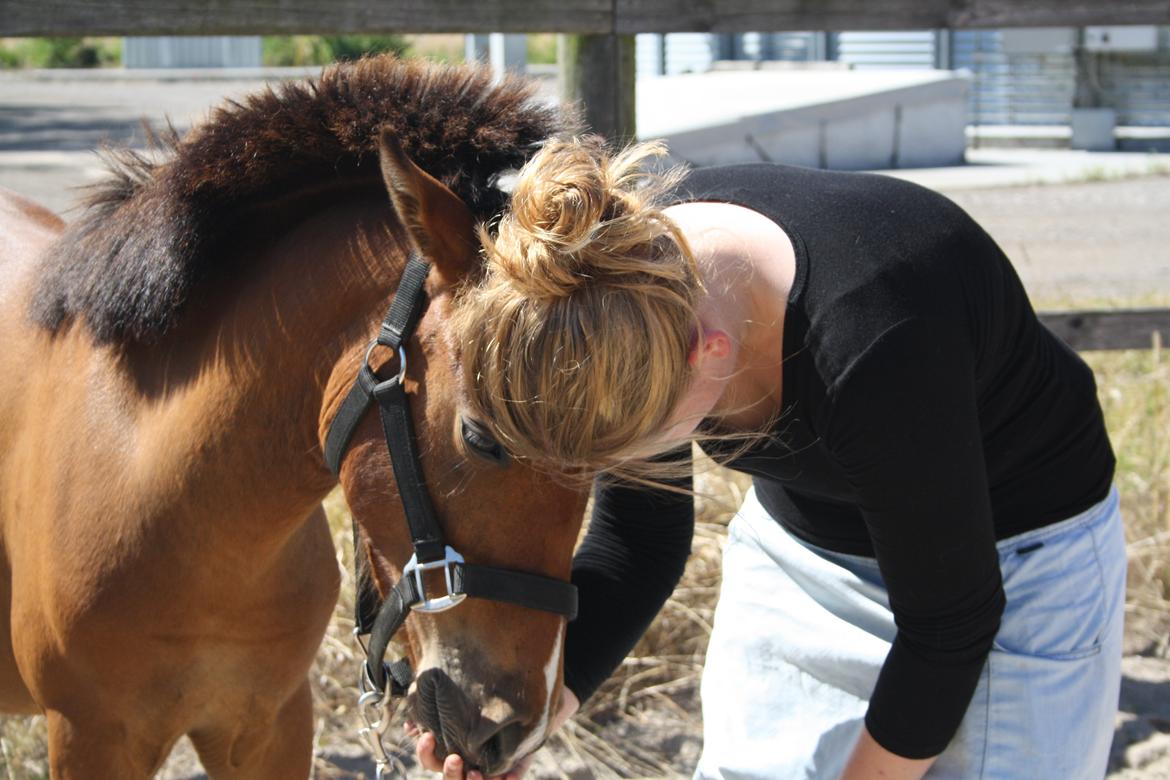 Anden særlig race Mosegaardens Surprice "lille mand" - 9 mdr. mig og min dejlige ejer<3  billede 17