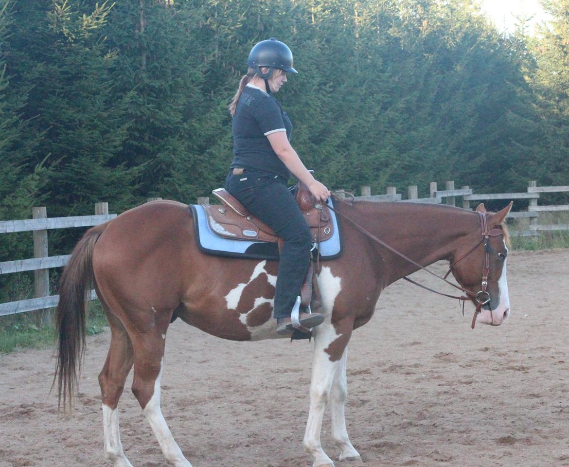 Paint CLP Sweet Little Pistol (død) billede 16