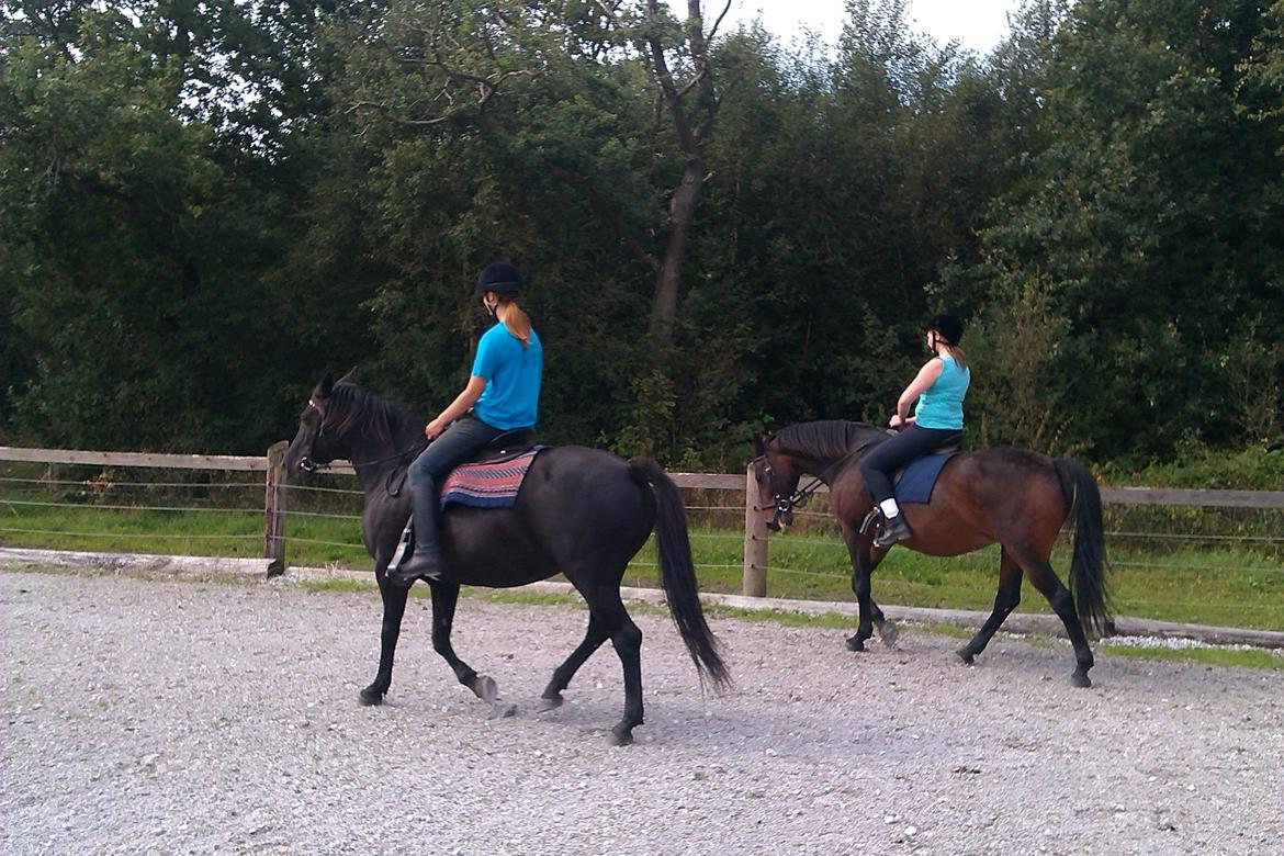 Anden særlig race Gabby - Mig på Gabby, og Marianne på Sati. billede 11