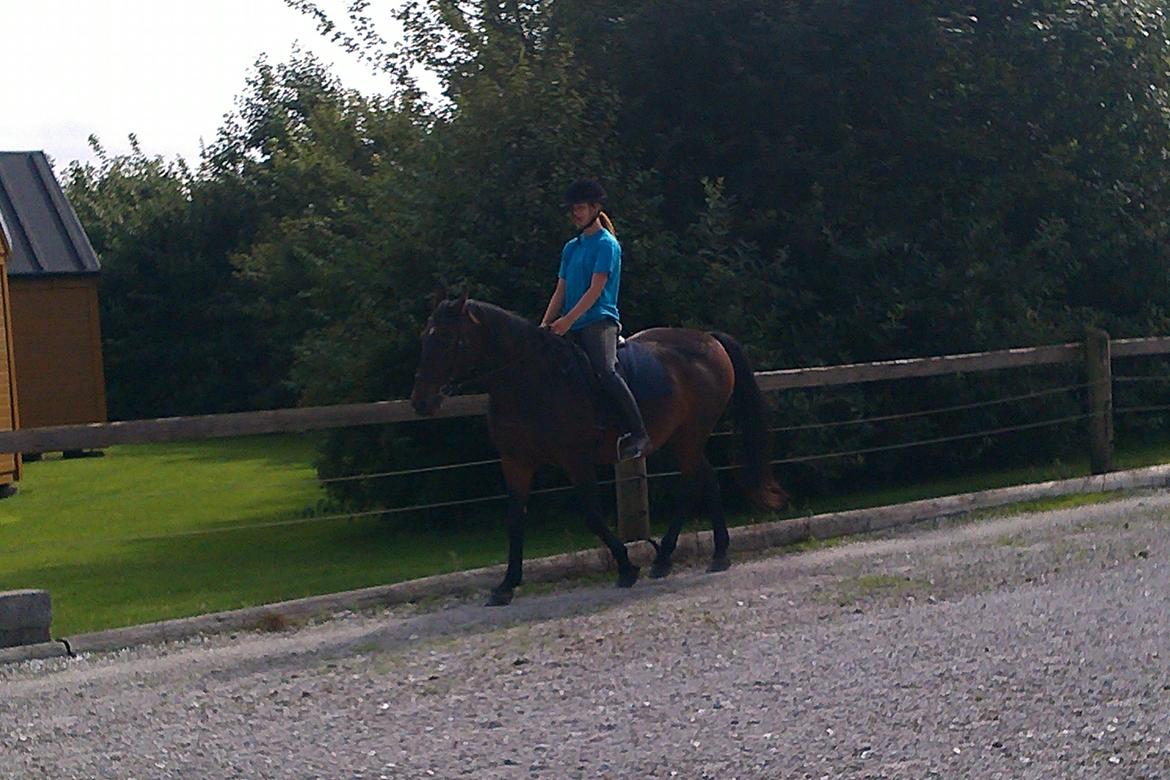 Anden særlig race Sati billede 2