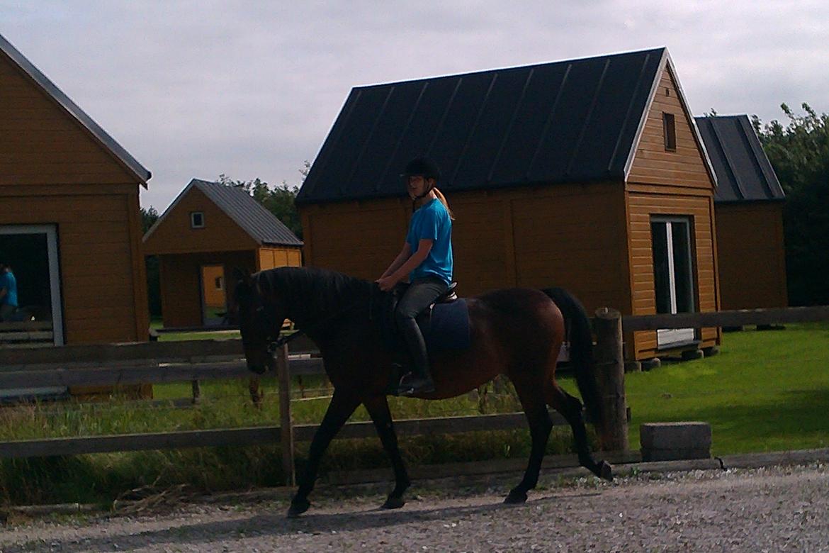 Anden særlig race Sati billede 3