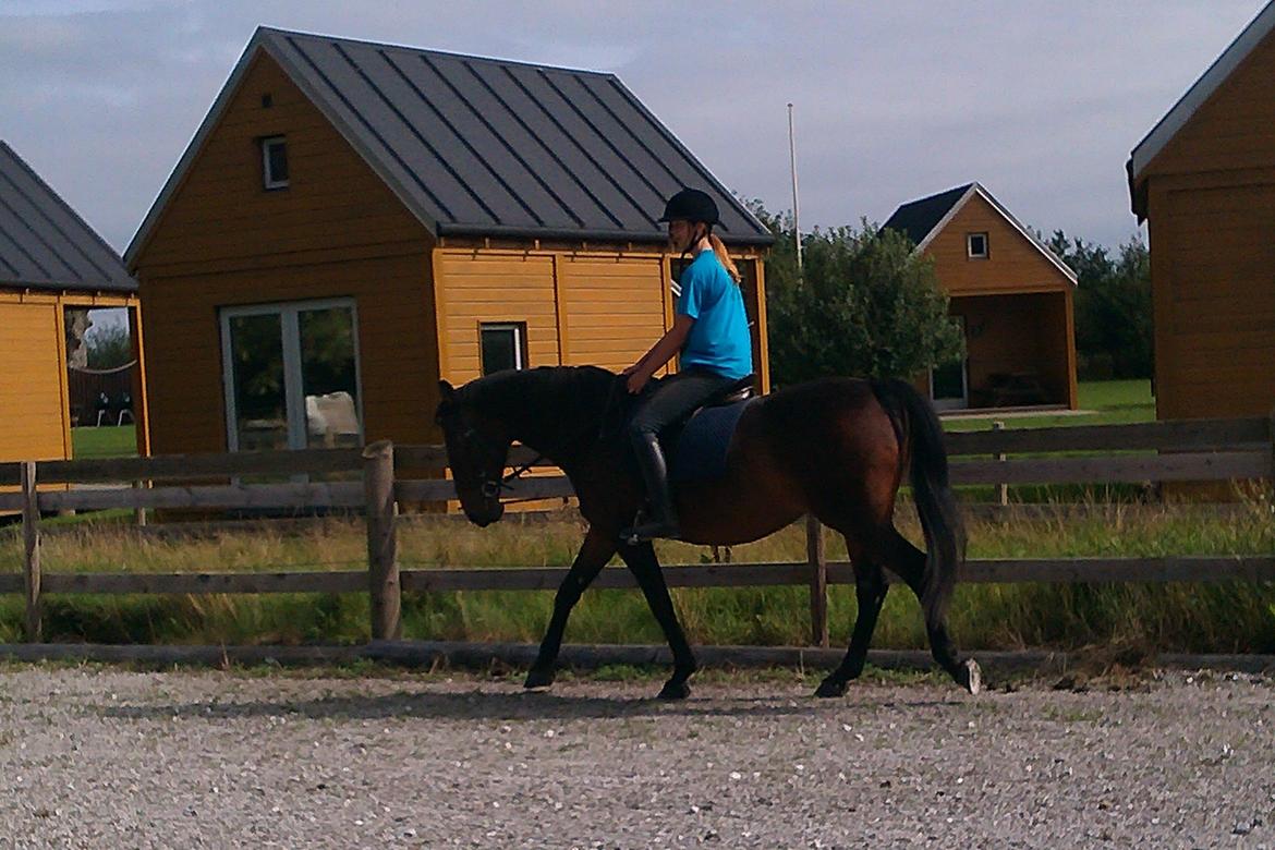 Anden særlig race Sati billede 4