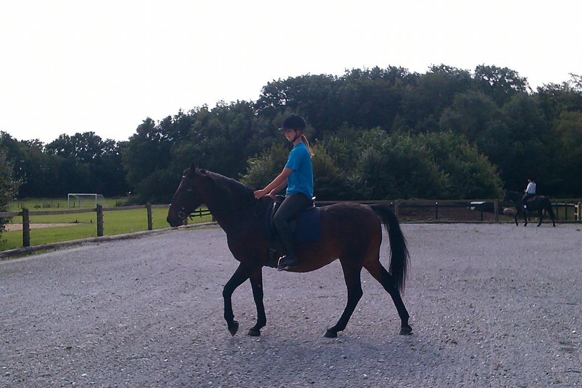 Anden særlig race Sati billede 5