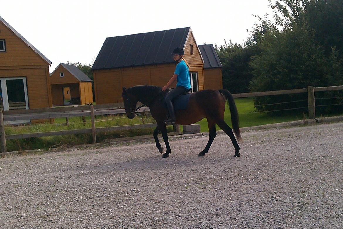 Anden særlig race Sati billede 6