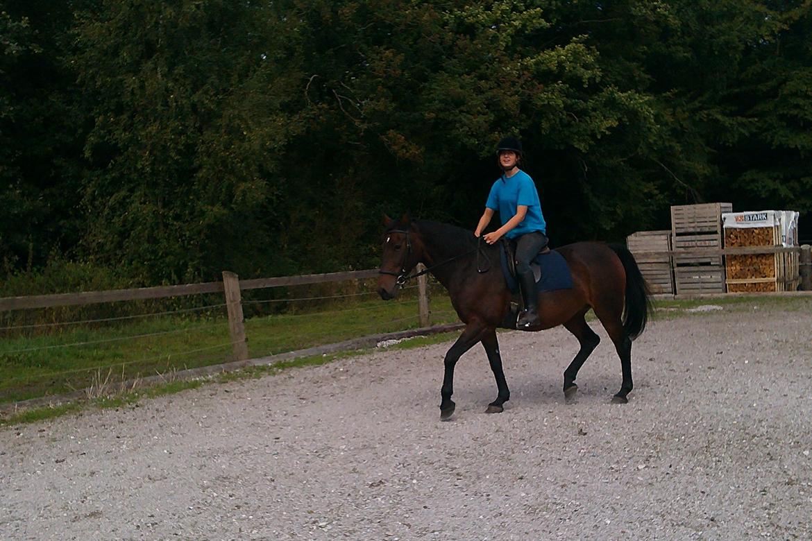 Anden særlig race Sati billede 7