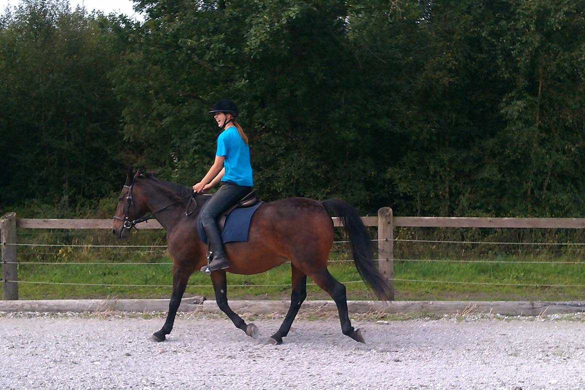 Anden særlig race Sati billede 8