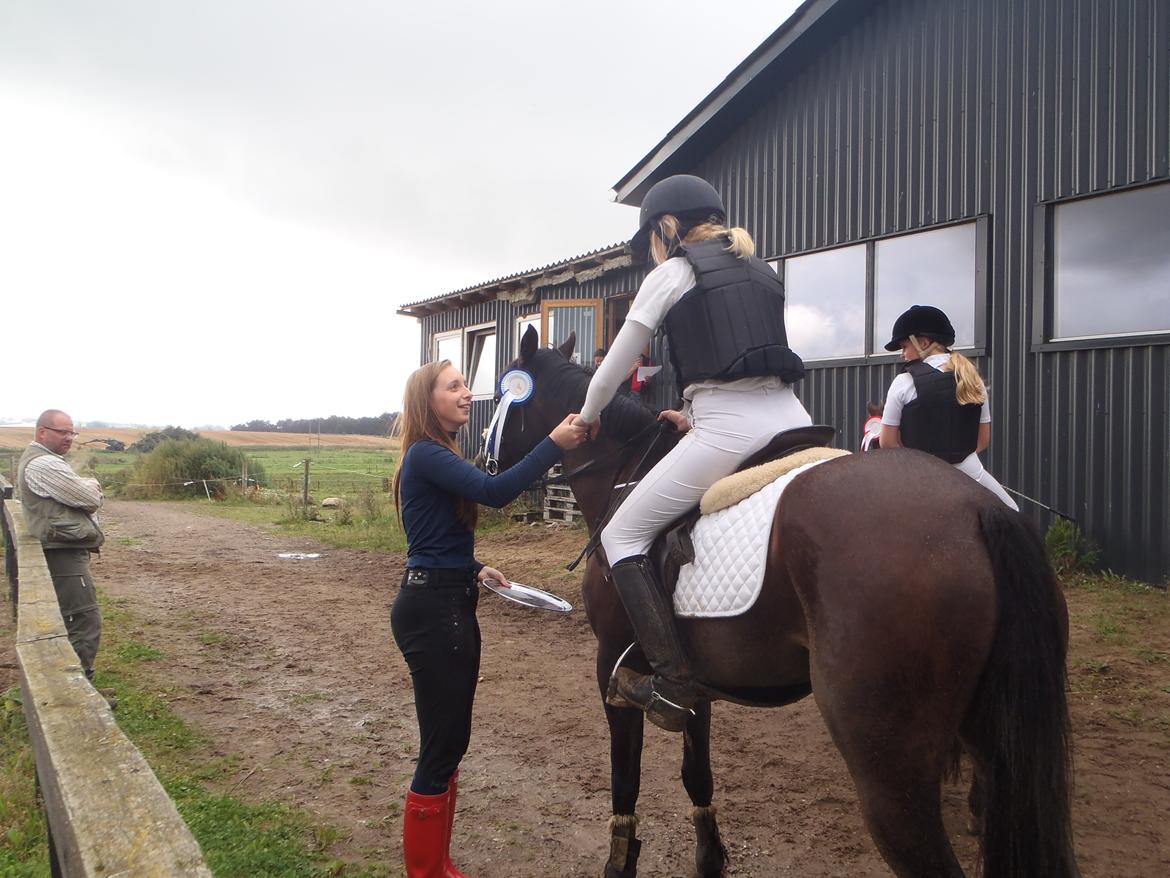 Tysk Sportspony Daalin - Gammel estrup, 2 plads. billede 14