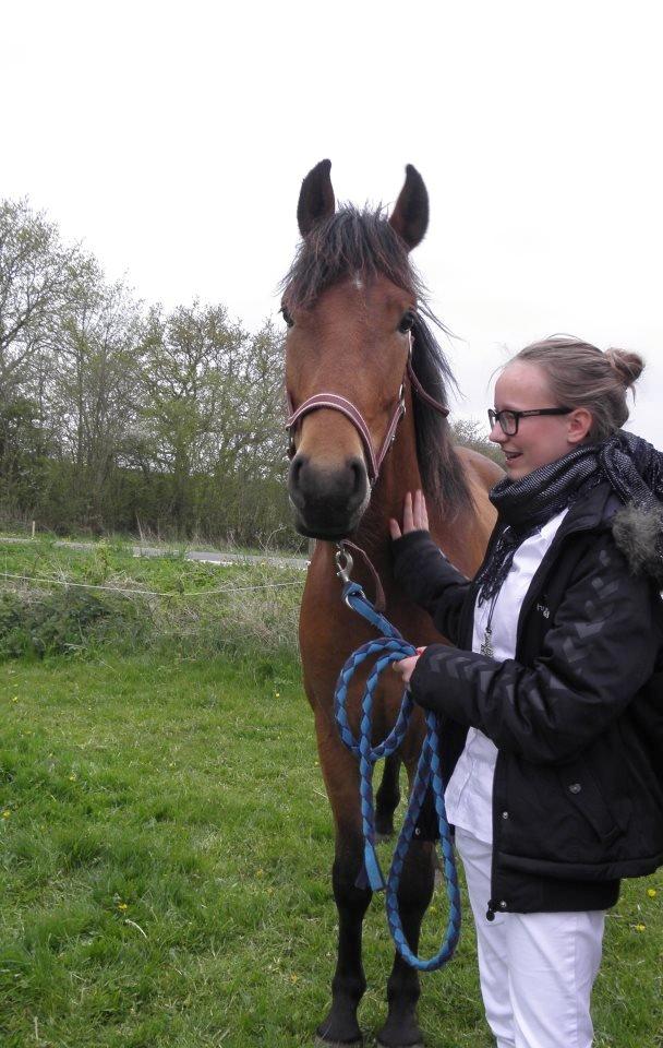 Anden særlig race Figaro - D. 4/5-2012
Da jeg fik ham. Han er her 3 år.  billede 6