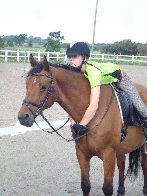 Anden særlig race La Cour (Deutsches Reitpferd/Hessisches Warmblut) - Ser vi noget spændende? :O billede 7