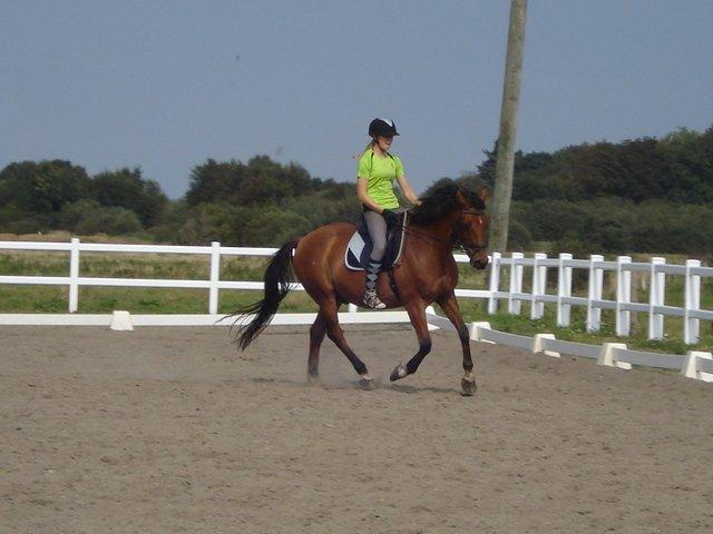 Anden særlig race La Cour (Deutsches Reitpferd/Hessisches Warmblut) - Galop d.09-09-2012 =) billede 5